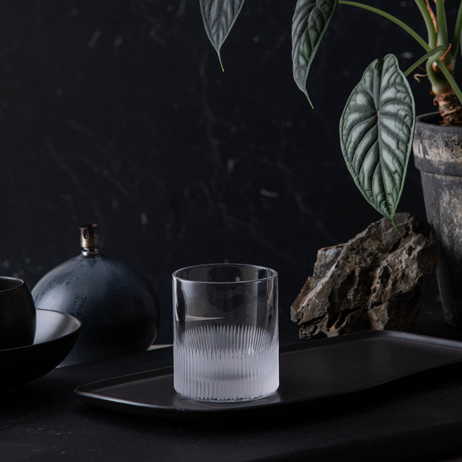 WHISKY GLASS 25CL 2PK