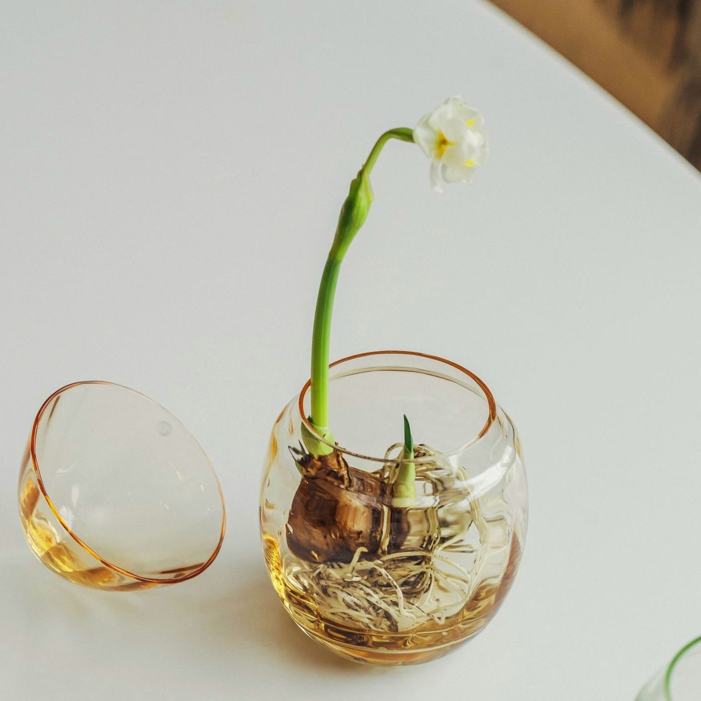 Gult glassegg med lokk fra Hadeland Glassverk med påskelilje som påskedekor.